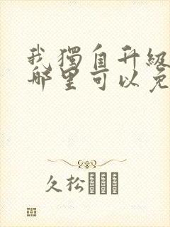 我独自升级漫画哪里可以免费观看封面