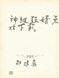 神级狂婿免费txt下载