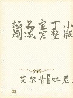 极品家丁小说无删减完整版