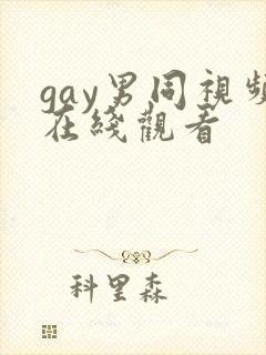 gay男同视频在线观看