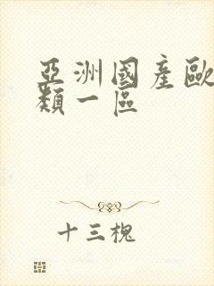 亚洲国产欧美另类一区