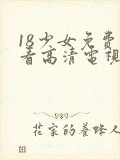 18少女免费观看高清电视剧封面