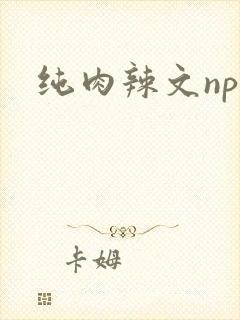 纯肉辣文nph