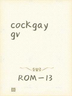 cockgaygv封面