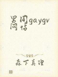 男同gaygv网站