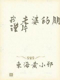 我老婆的朋友伦理片