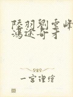 陆羽刘云峰小说鸿途奇才封面