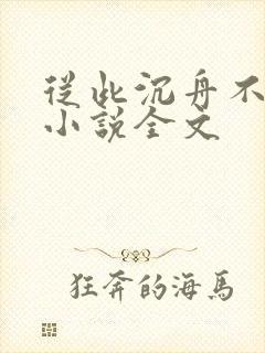 从此沉舟不相逢小说全文封面