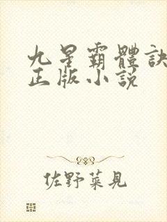 九星霸体诀龙尘正版小说封面