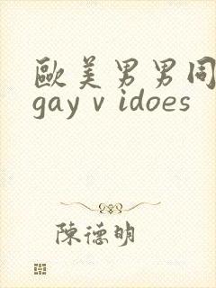 欧美男男同性恋gayⅴidoes