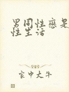 男同性恋是怎么性生活