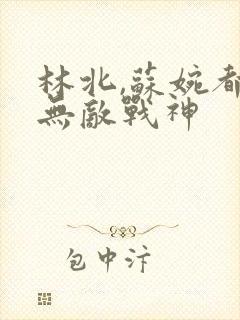 林北,苏婉都市无敌战神封面