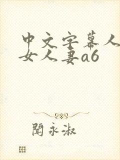 中文字幕人妻熟女人妻a6