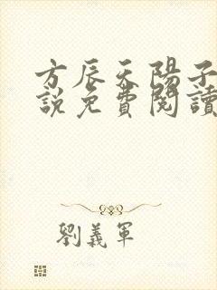 方辰天阳子的小说免费阅读封面