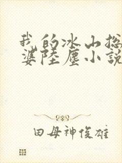 我的冰山总裁老婆陆尘小说