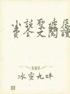 小说圣墟辰东免费全文阅读封面