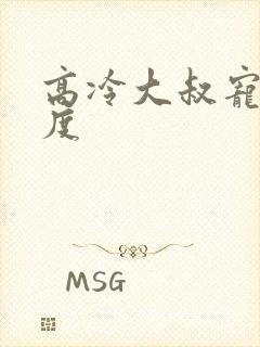 高冷大叔宠妻无度