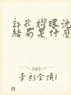 许我耀眼沈皓明结局是什么