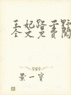 王妃路子野要宠全文免费阅读封面