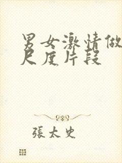 男女激情做爰大尺度片段