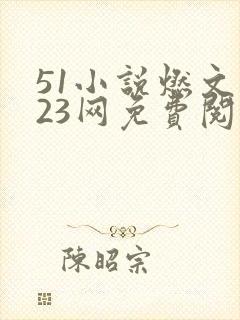 51小说燃文123网免费阅读