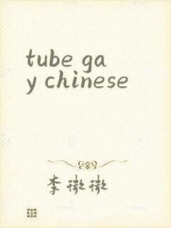 tube gay chinese封面