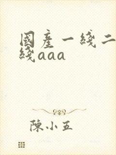 国产一线二线三线aaa封面