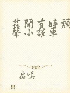 花开有时颓靡无声小说车封面