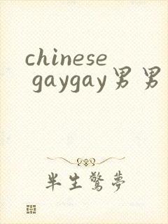 chinese gaygay男男