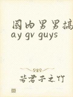 国内男男搞基gay gv guys