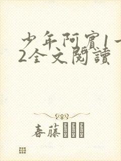 少年阿宾1一72全文阅读