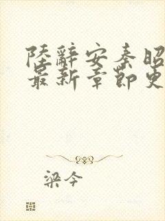 陆辞安秦昭小说最新章节更新