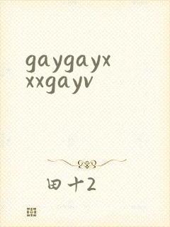 gaygayxxxgayv