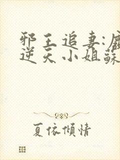 邪王追妻:废材逆天小姐苏落南宫流云