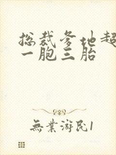 总裁爹地超给力一胞三胎