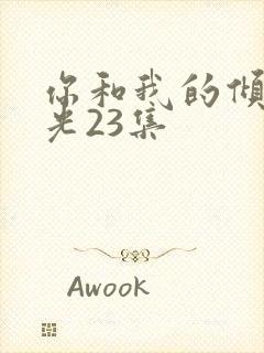 你和我的倾城时光23集