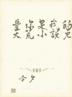 爱你是我的地老天荒小说免费阅读