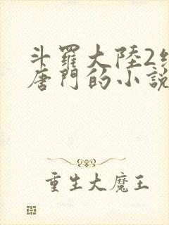 斗罗大陆2绝世唐门的小说