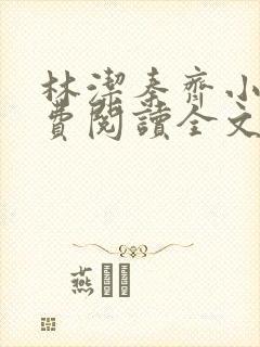 林洁秦齐小说免费阅读全文最新章节