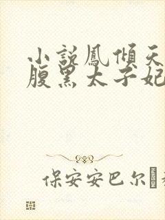 小说凤倾天下之腹黑太子妃