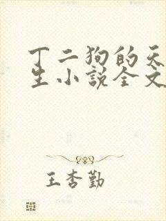 丁二狗的天梯人生小说全文免费阅读