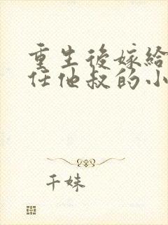 重生后嫁给了前任他叔的小说