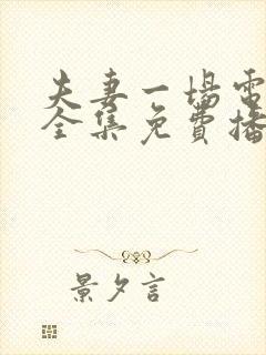 夫妻一场电视剧全集免费播放