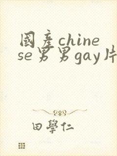 国产chinese男男gay片封面