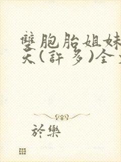 双胞胎姐妹乐翻天(许多)全文在线阅读