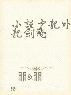 小说少龙外传之龙剑飞