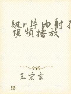 级r片内射在线视频播放