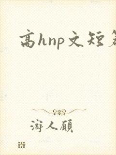 高hnp文短篇