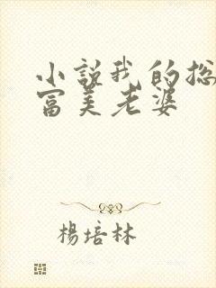 小说我的总裁白富美老婆