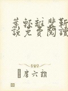 叶轻离裴靳墨小说免费阅读无弹窗